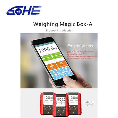 High Precision Ultra Portable Wireless Remote Control Platform Scale met LED-display
