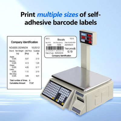 SHW-TMC 30 kg barcode-druktafel met AC/DC-stroomvoorziening en maximaal bereik