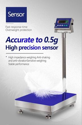 LED-scherm 300 kg SOHE A1S Waterdicht Schaal voor voedselfabrieken 500*600mm Wasbaar