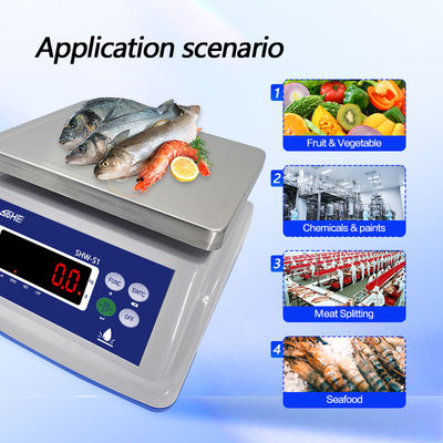 Dubbele laagstructuur 30 kg waterdicht schaal met precisie sensor en LED display