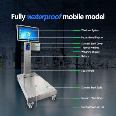 OBM-aanpassingsondersteuning Mobiele roestvrijstalen industriële schaal met een capaciteit van 800 kg